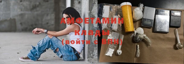 шишки Абинск