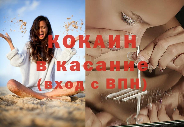 гидра Михайловка