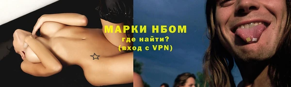 шишки Абинск
