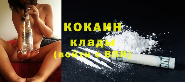 шишки Абинск