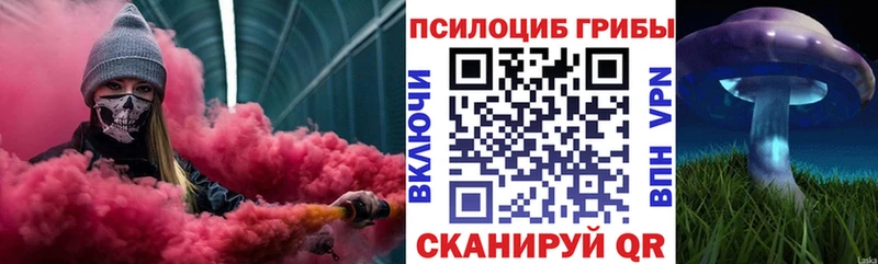 Галлюциногенные грибы Magic Shrooms  Черногорск 