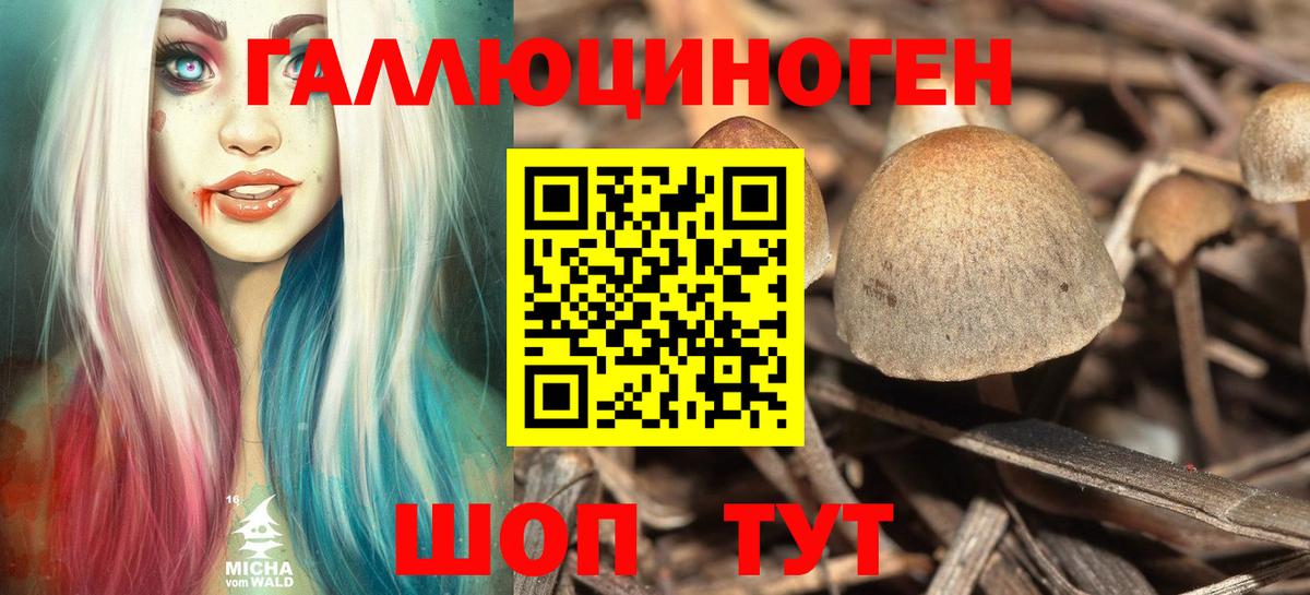 Псилоцибиновые грибы прущие грибы Черногорск