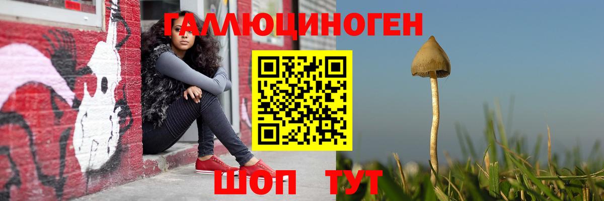 Черногорск  Псилоцибиновые грибы Magic Shrooms  дарнет шоп  Вход с VPN 